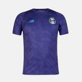 Camisa Grêmio Goleiro Roxa 2026 Masculina New Balance
